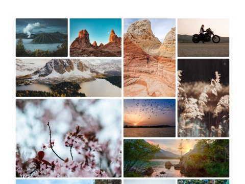 Photo Gallery