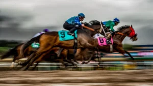 Horse Racing Tracks